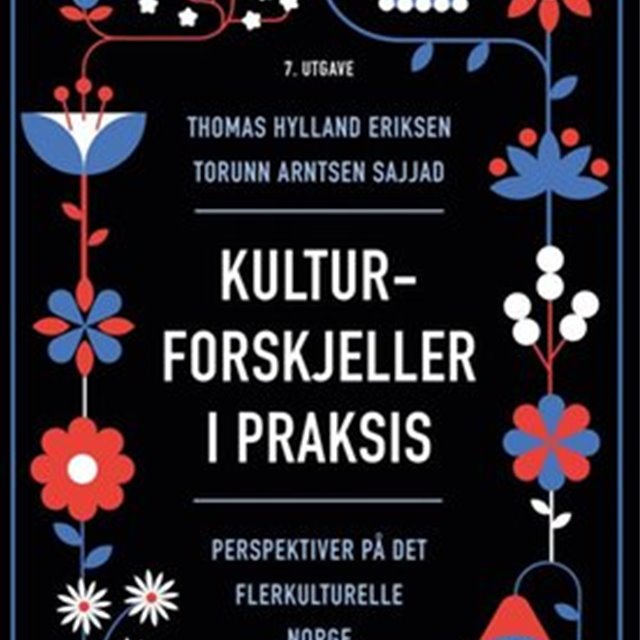 Kulturforskjeller i praksis - perspektiver på det flerkulturelle Norge