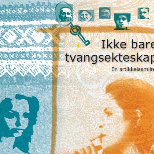 IMDi sluttrapport 2014