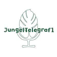 Jungeltelegraf1