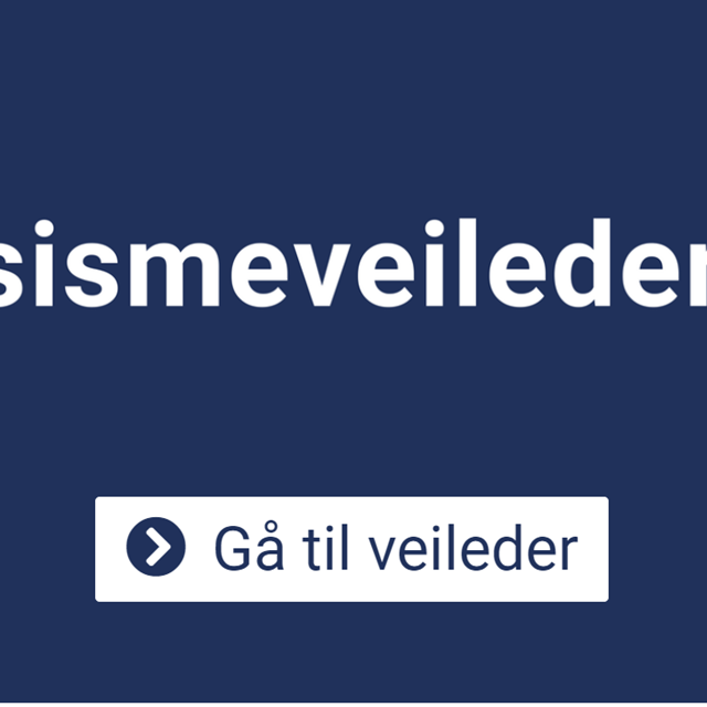 Rasismeveileder